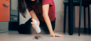 What Is The Best Bug Killer For Indoors?